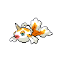 Shiny Goldeen as it appears in Sword & Shield