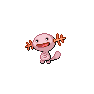 Shiny Wooper as it appears in Brilliant Diamond & Shining Pearl