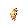 Shiny Torchic as it appears in Sword & Shield