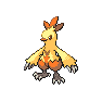 Shiny Combusken as it appears in Brilliant Diamond & Shining Pearl
