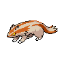 Shiny Linoone as it appears in Brilliant Diamond & Shining Pearl