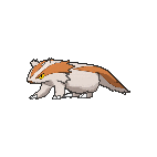 Shiny Linoone as it appears in X & Y