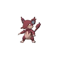 Shiny Alolan Rattata as it appears in Ultra Sun & Ultra Moon