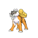 Shiny Raikou as it appears in Sun & Moon