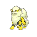 Shiny Arcanine as it appears in Ultra Sun & Ultra Moon