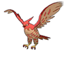 Shiny Talonflame as it appears in Ultra Sun & Ultra Moon