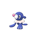 Shiny Popplio as it appears in Ultra Sun & Ultra Moon
